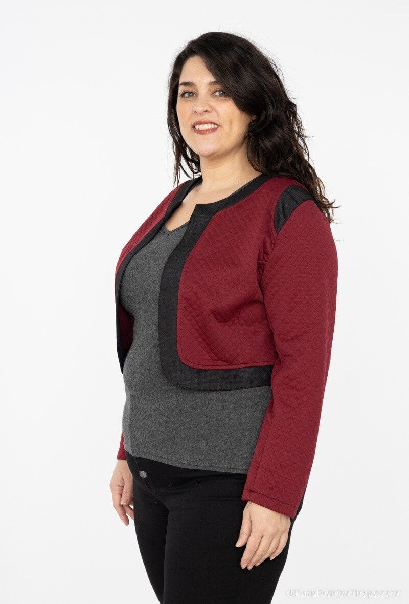 Plus Size Västar för Vinter och Höst