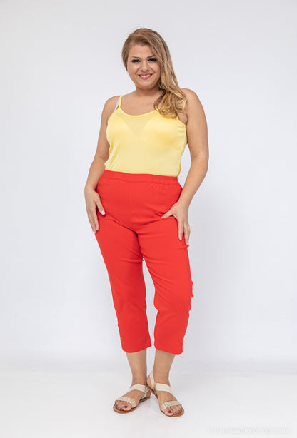 Plus Size TROUSERS