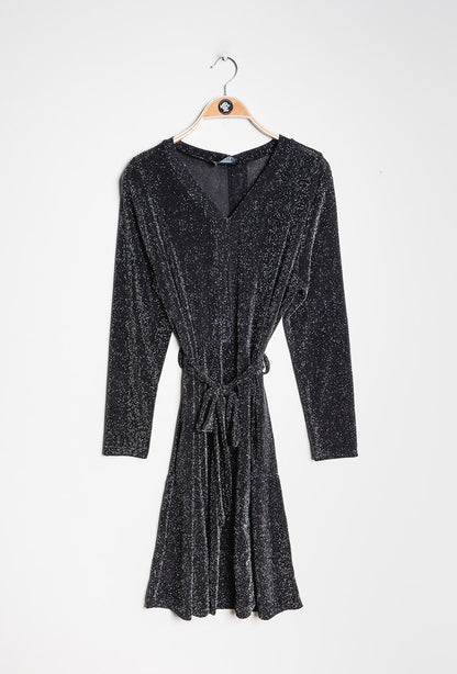 Plus Size Shiny dress