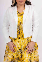 Plus Size Flared Lace Dress with Jacket Set