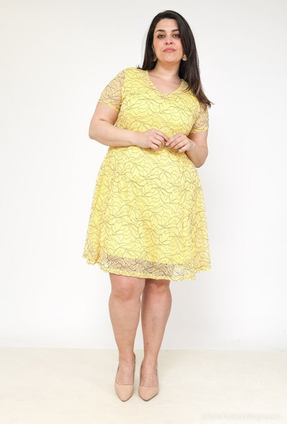 Plus Size Lace dress