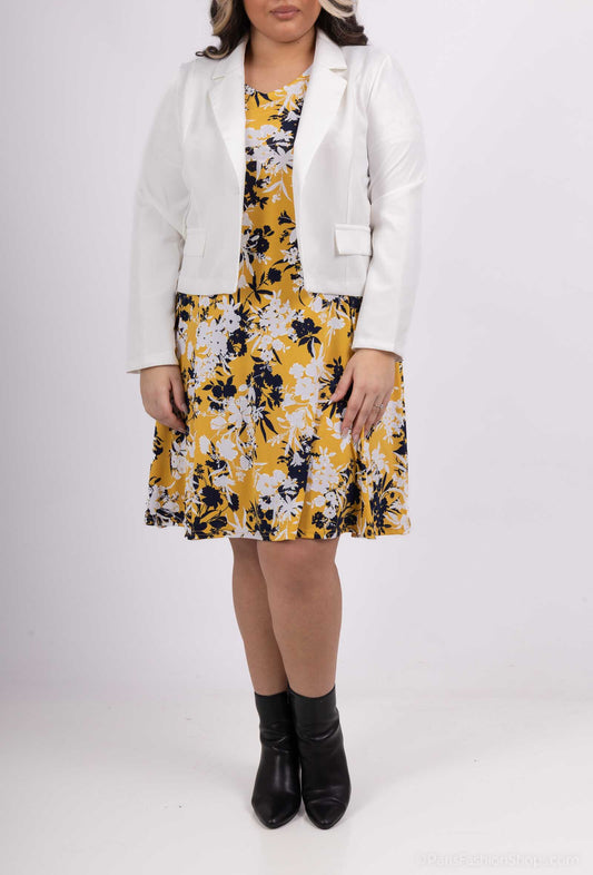 Plus Size Flared Printed Dress with Jacket Set