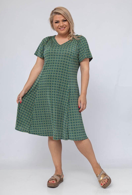 Plus Size Flared Printed Dress