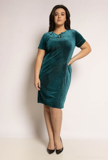 Plus Size Sparkly Velvet Dress