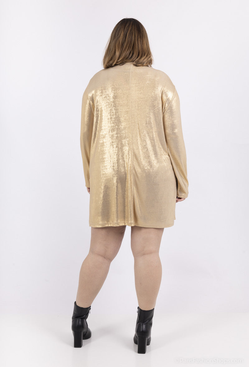 Plus Size V-neck Sequin Tunic